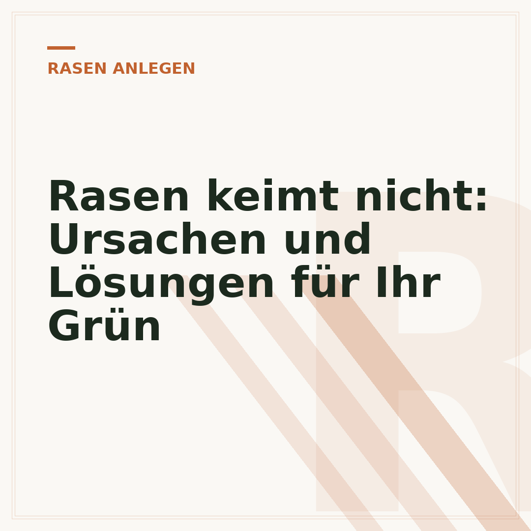 Rasen keimt nicht: Ursachen und Lösungen für Ihr Grün
