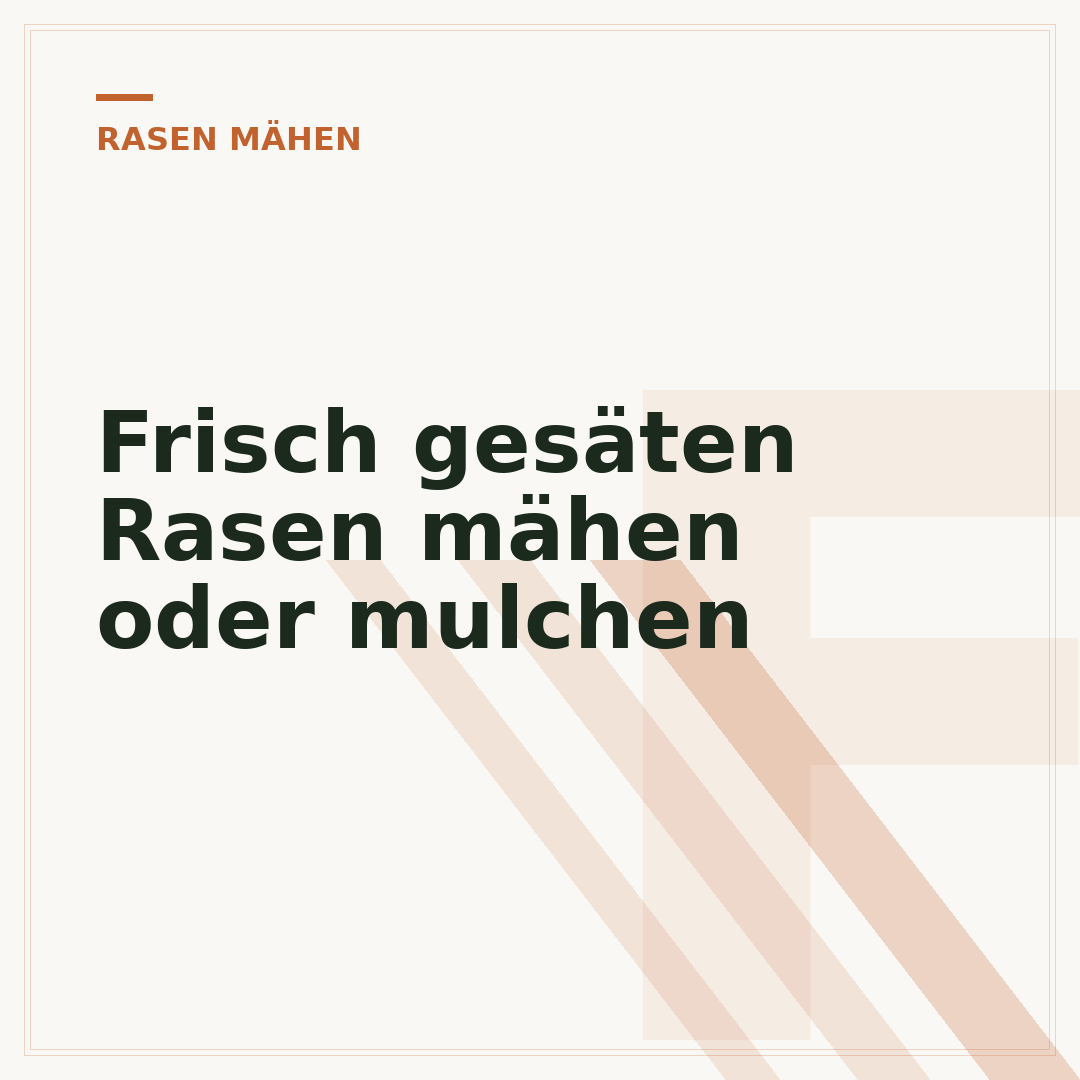 Frisch gesäten Rasen mähen oder mulchen