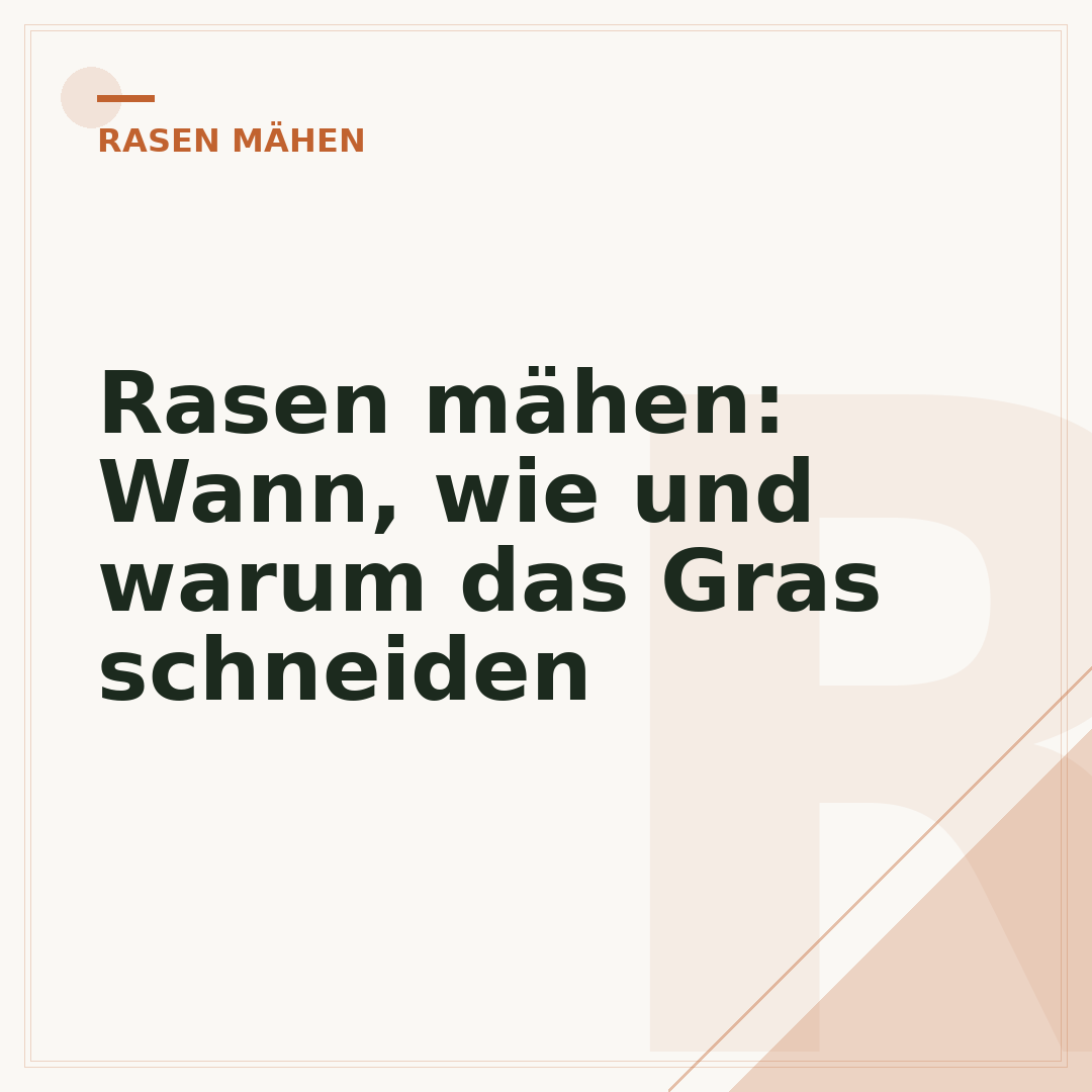 Rasen mähen: Wann, wie und warum das Gras schneiden