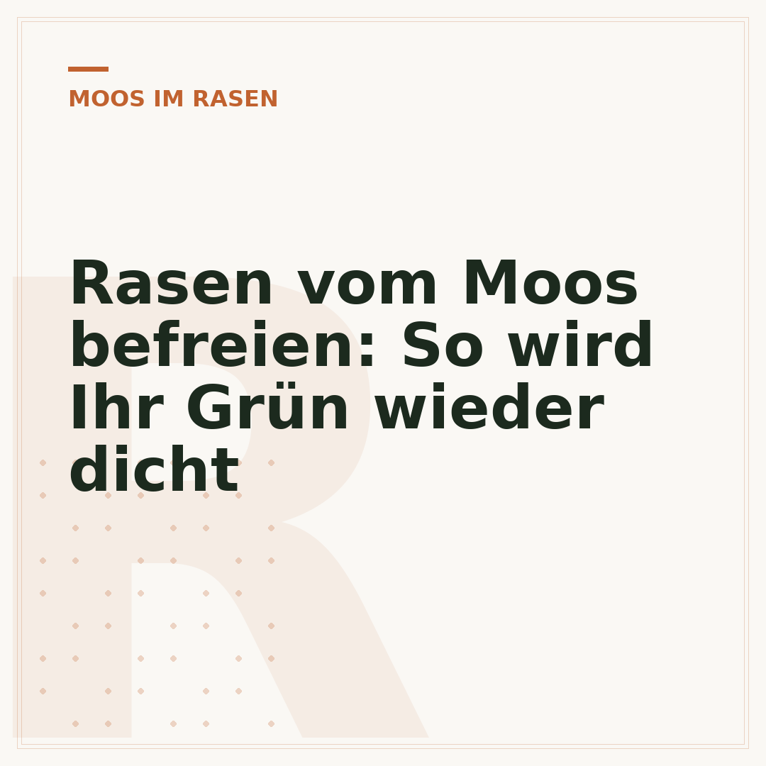 Rasen vom Moos befreien: So wird Ihr Grün wieder dicht