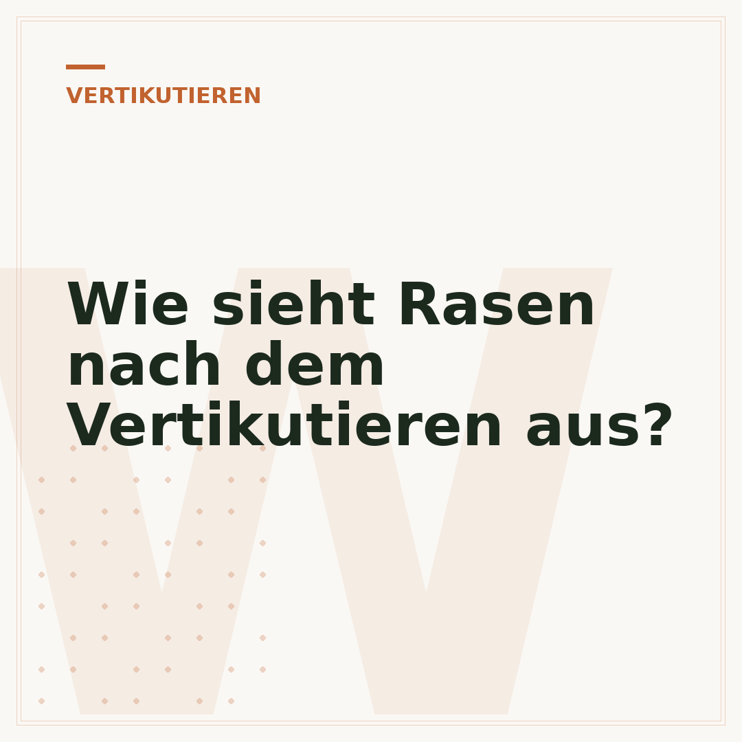 Wie sieht Rasen nach dem Vertikutieren aus?