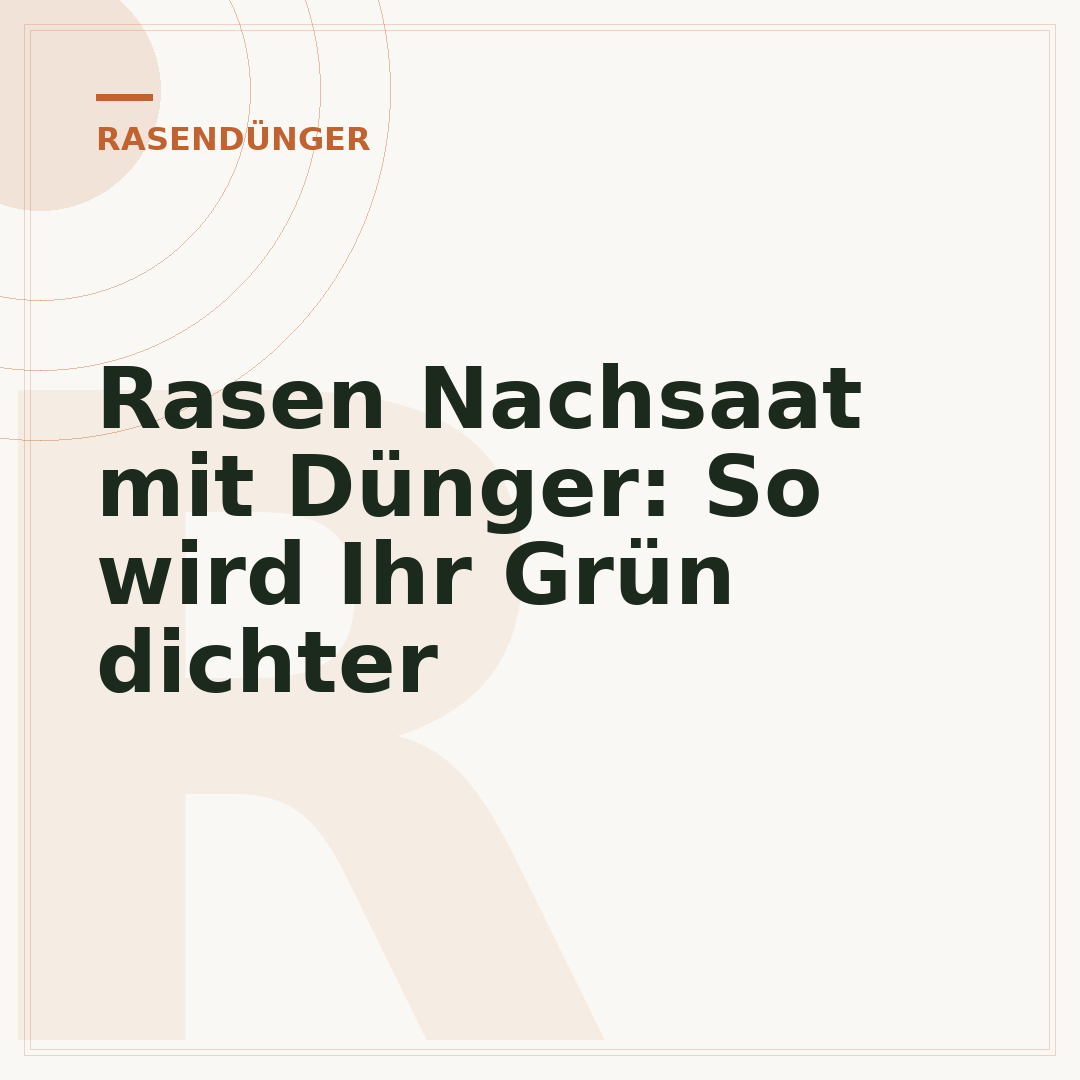 Rasen Nachsaat mit Dünger: So wird Ihr Grün dichter