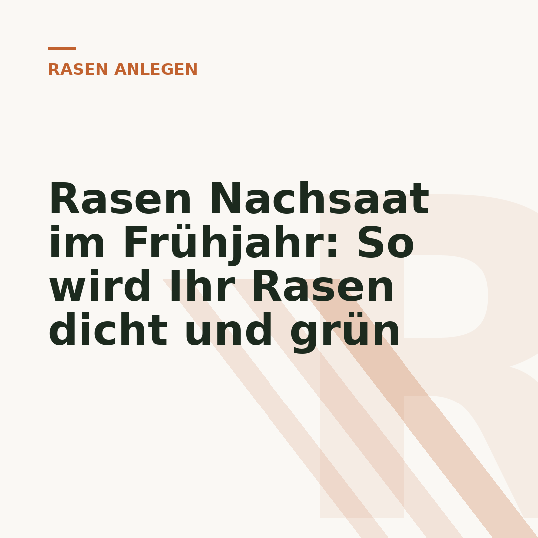 Rasen Nachsaat im Frühjahr: So wird Ihr Rasen dicht und grün