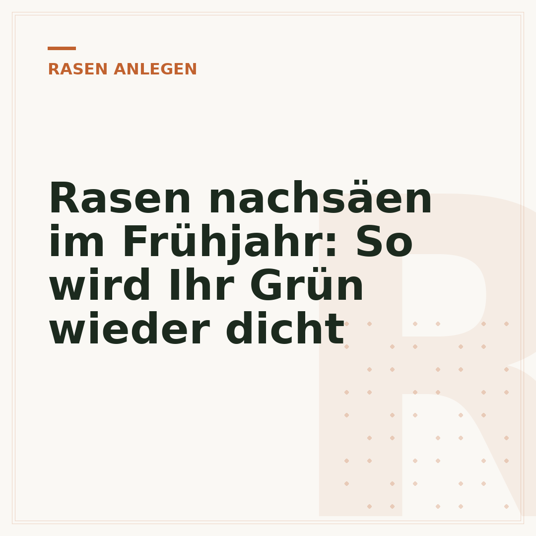 Rasen nachsäen im Frühjahr: So wird Ihr Grün wieder dicht