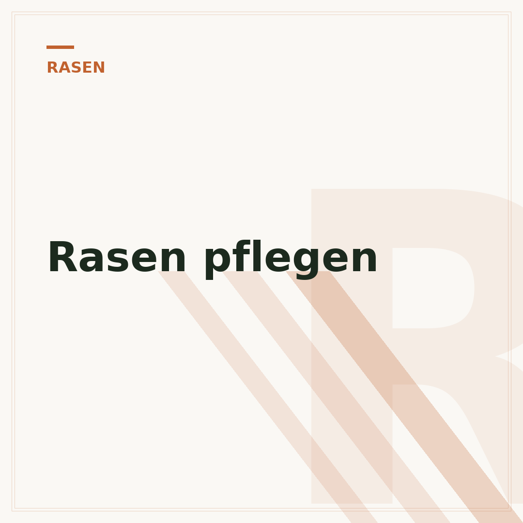 Rasen pflegen