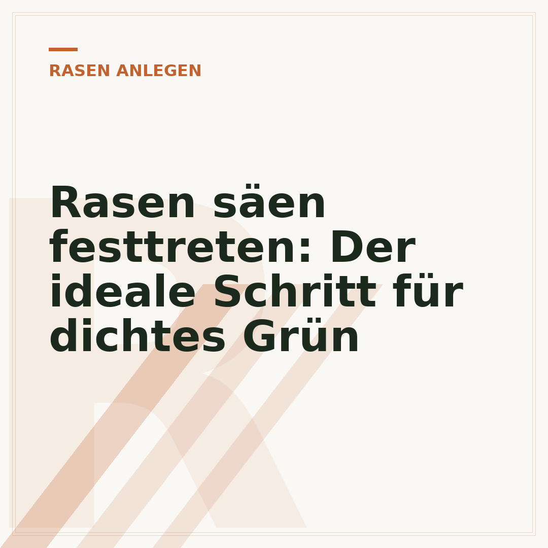 Rasen säen festtreten: Der ideale Schritt für dichtes Grün