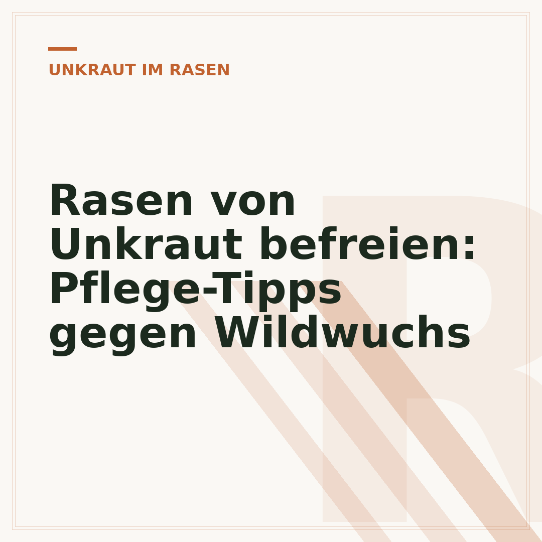 Rasen von Unkraut befreien: Pflege-Tipps gegen Wildwuchs