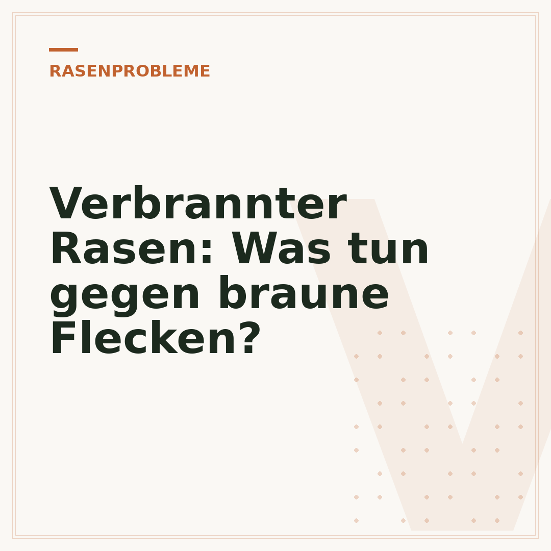 Verbrannter Rasen: Was tun gegen braune Flecken?