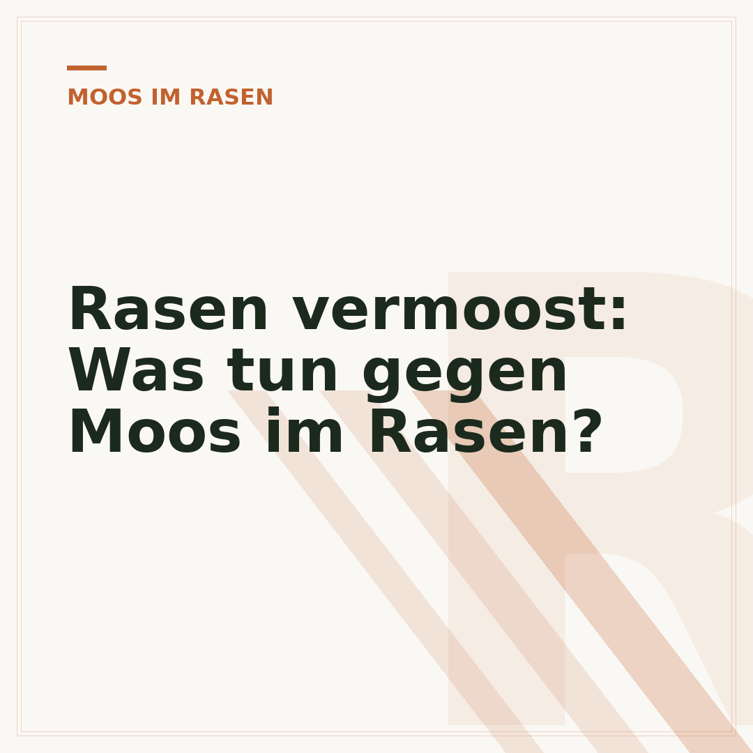 Rasen vermoost: Was tun gegen Moos im Rasen?