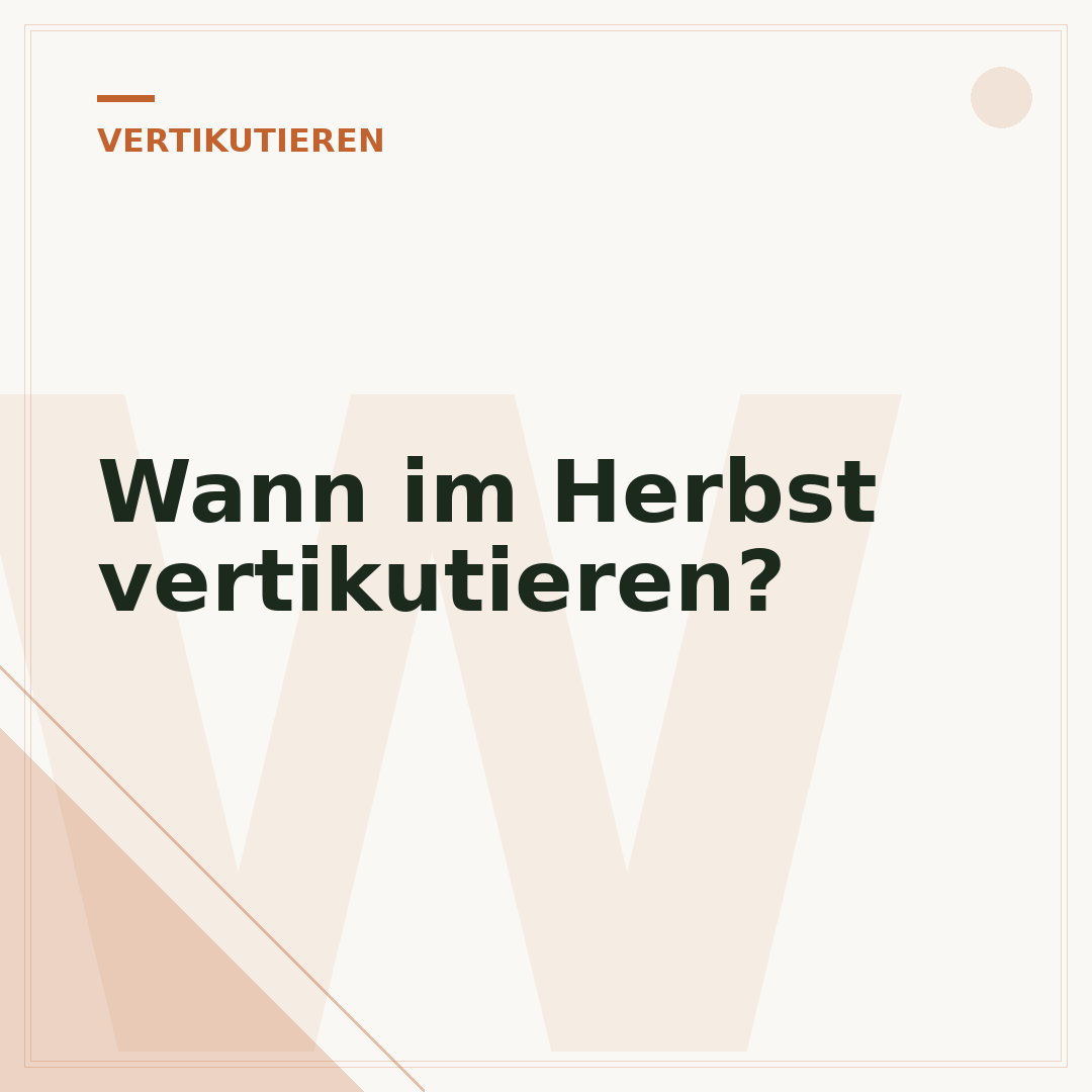 Wann im Herbst vertikutieren?