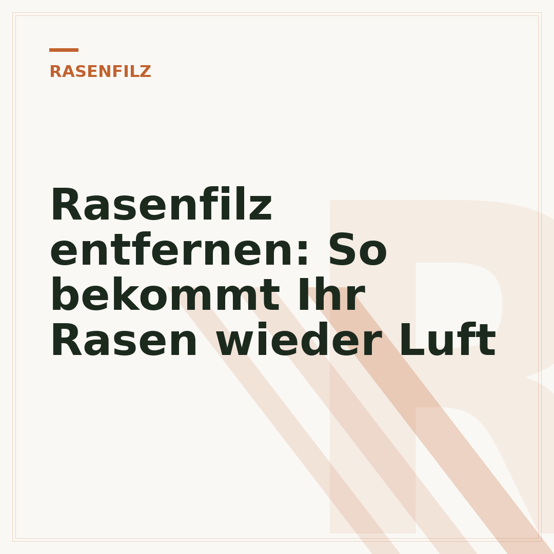 Rasenfilz entfernen: So bekommt Ihr Rasen wieder Luft