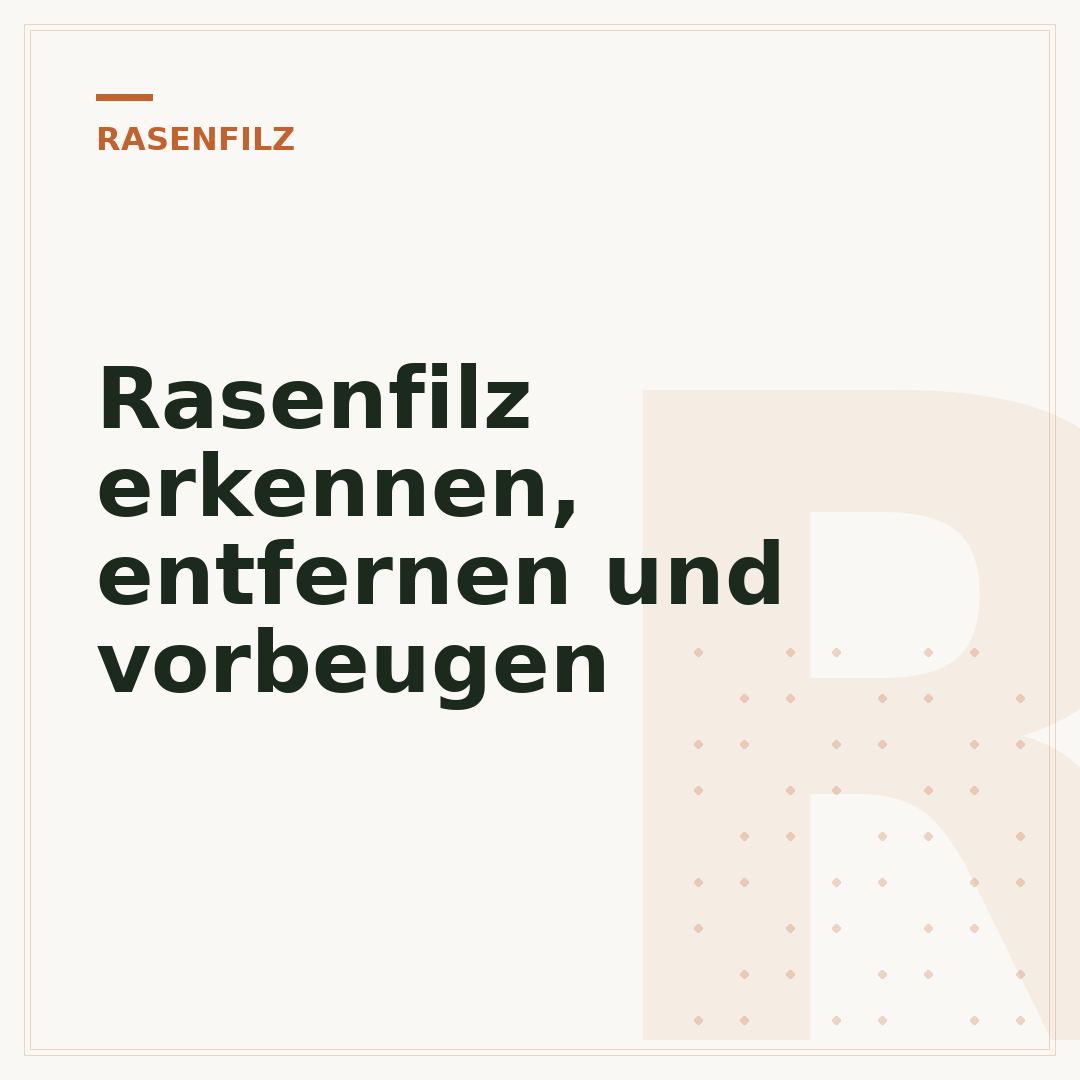 Rasenfilz erkennen, entfernen und vorbeugen