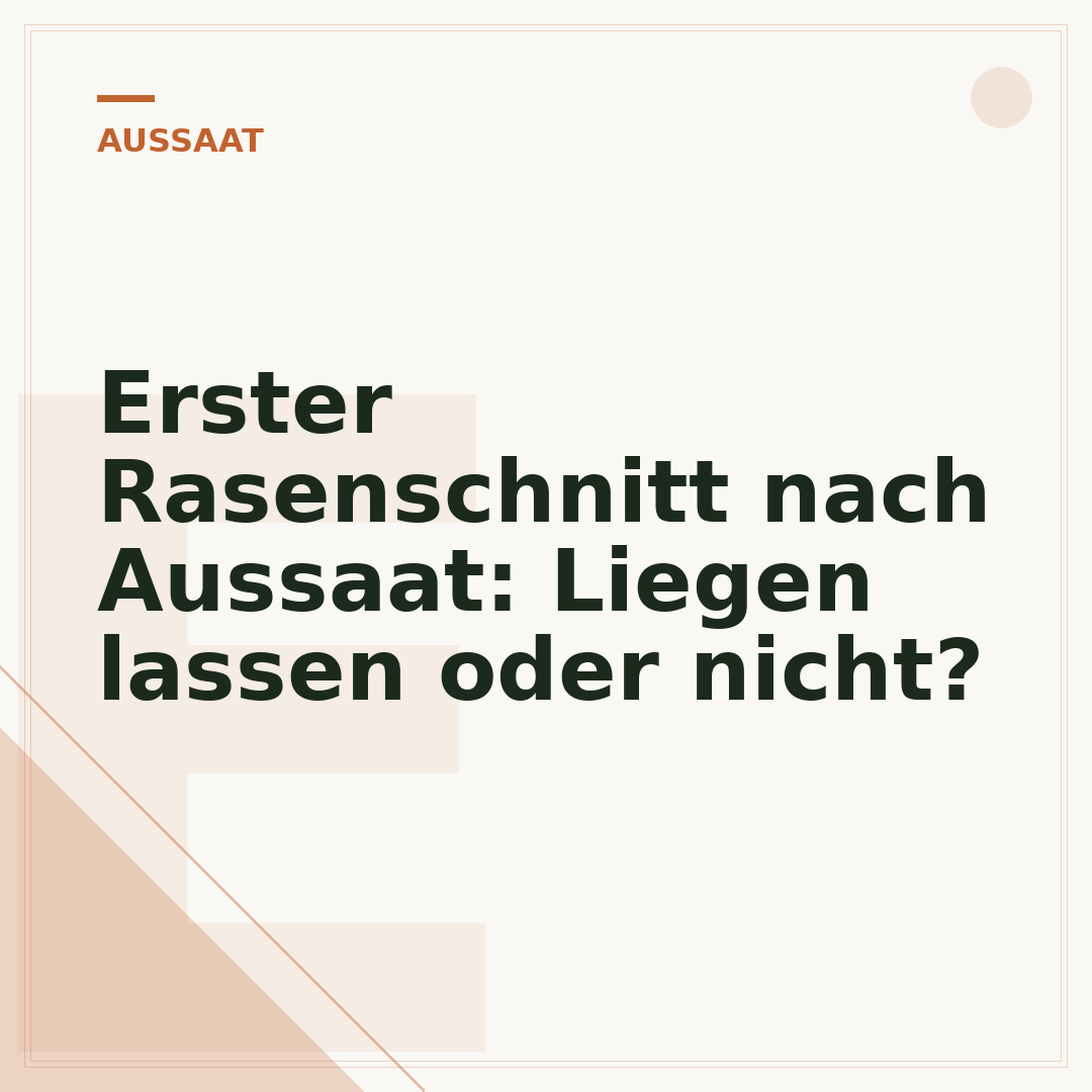 Erster Rasenschnitt nach Aussaat: Liegen lassen oder nicht?