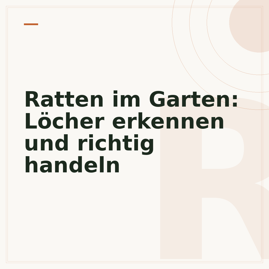 Ratten im Garten: Löcher erkennen und richtig handeln