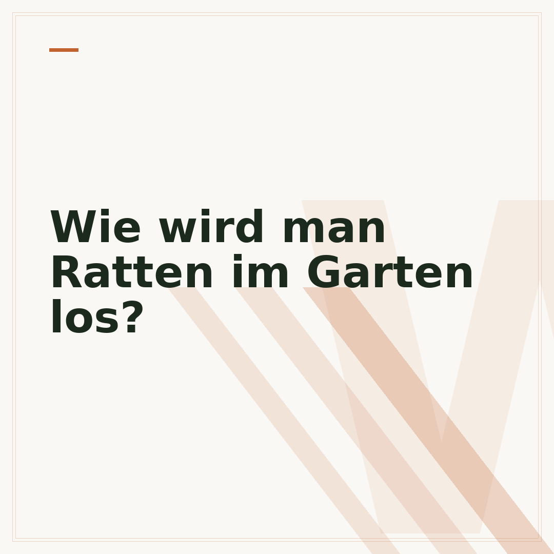 Wie wird man Ratten im Garten los?