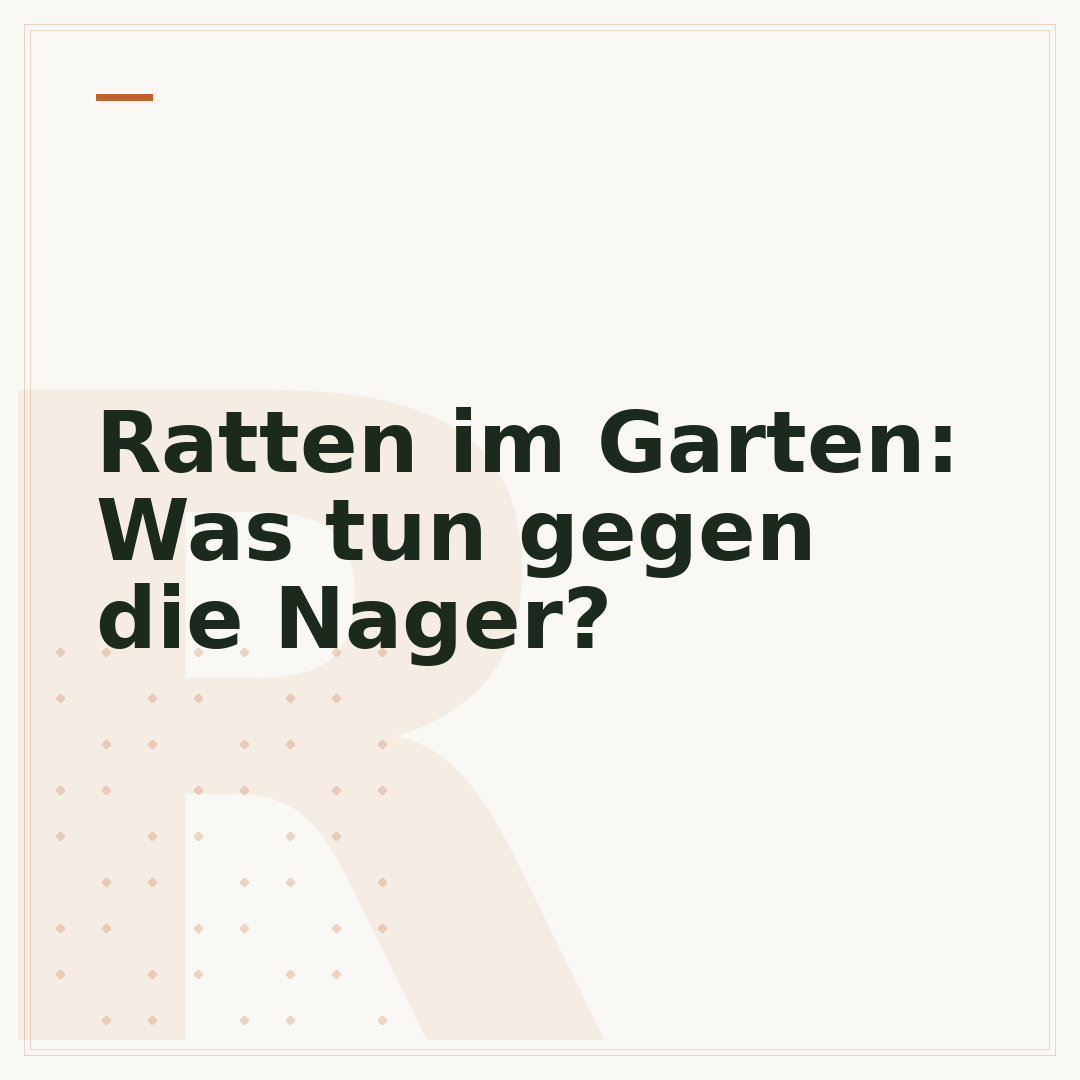 Ratten im Garten: Was tun gegen die Nager?