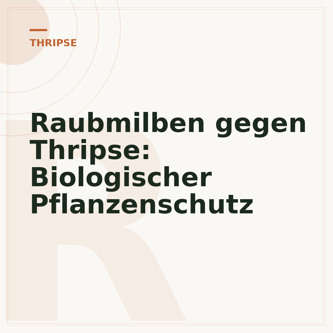 Raubmilben gegen Thripse: Biologischer Pflanzenschutz