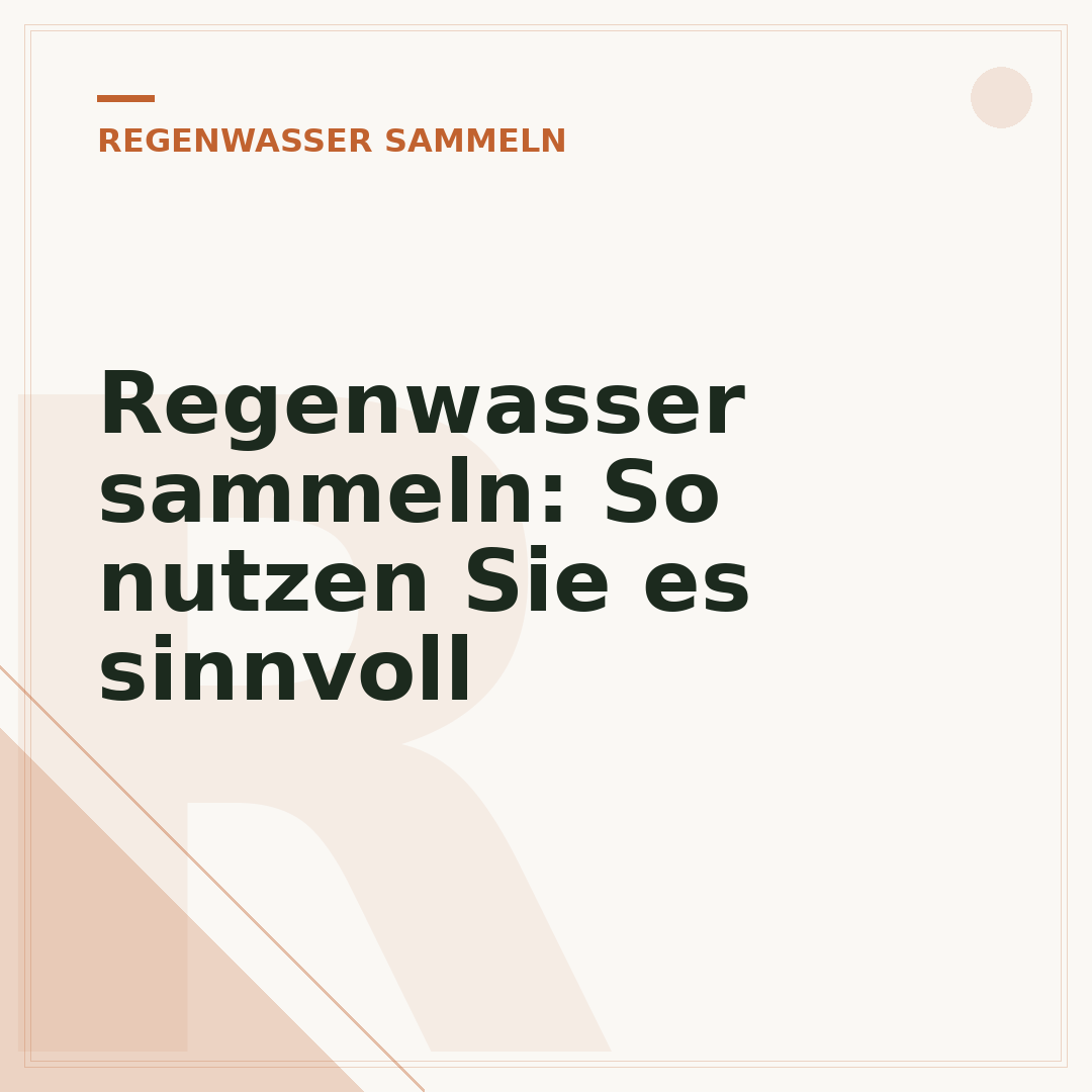 Regenwasser sammeln: So nutzen Sie es sinnvoll