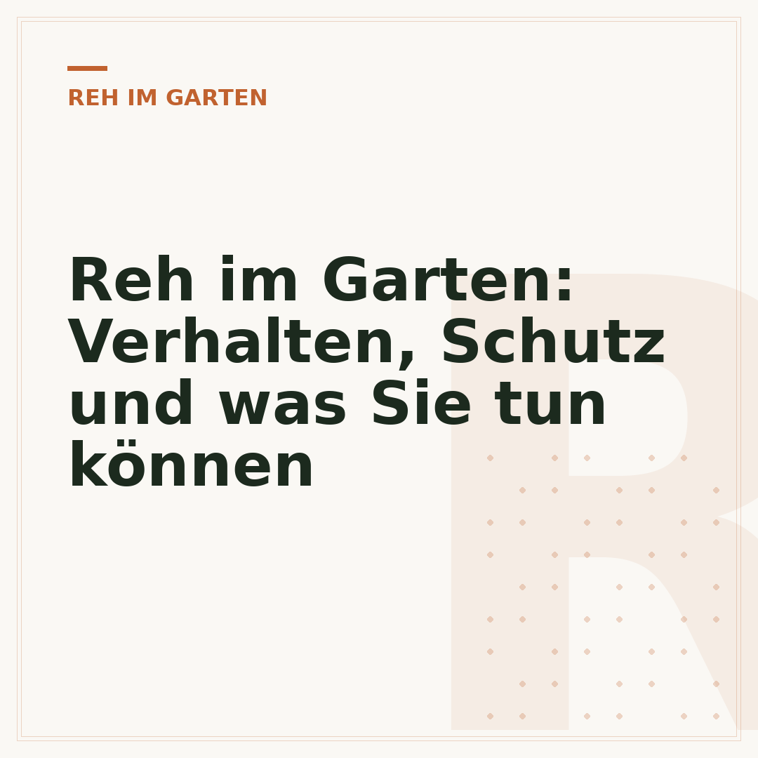 Reh im Garten: Verhalten, Schutz und was Sie tun können