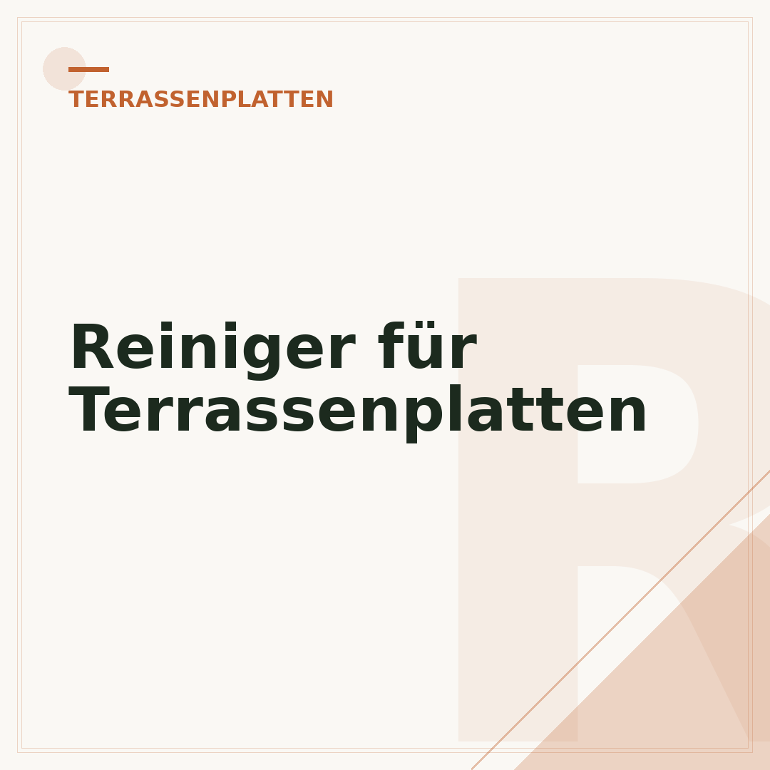 Reiniger für Terrassenplatten