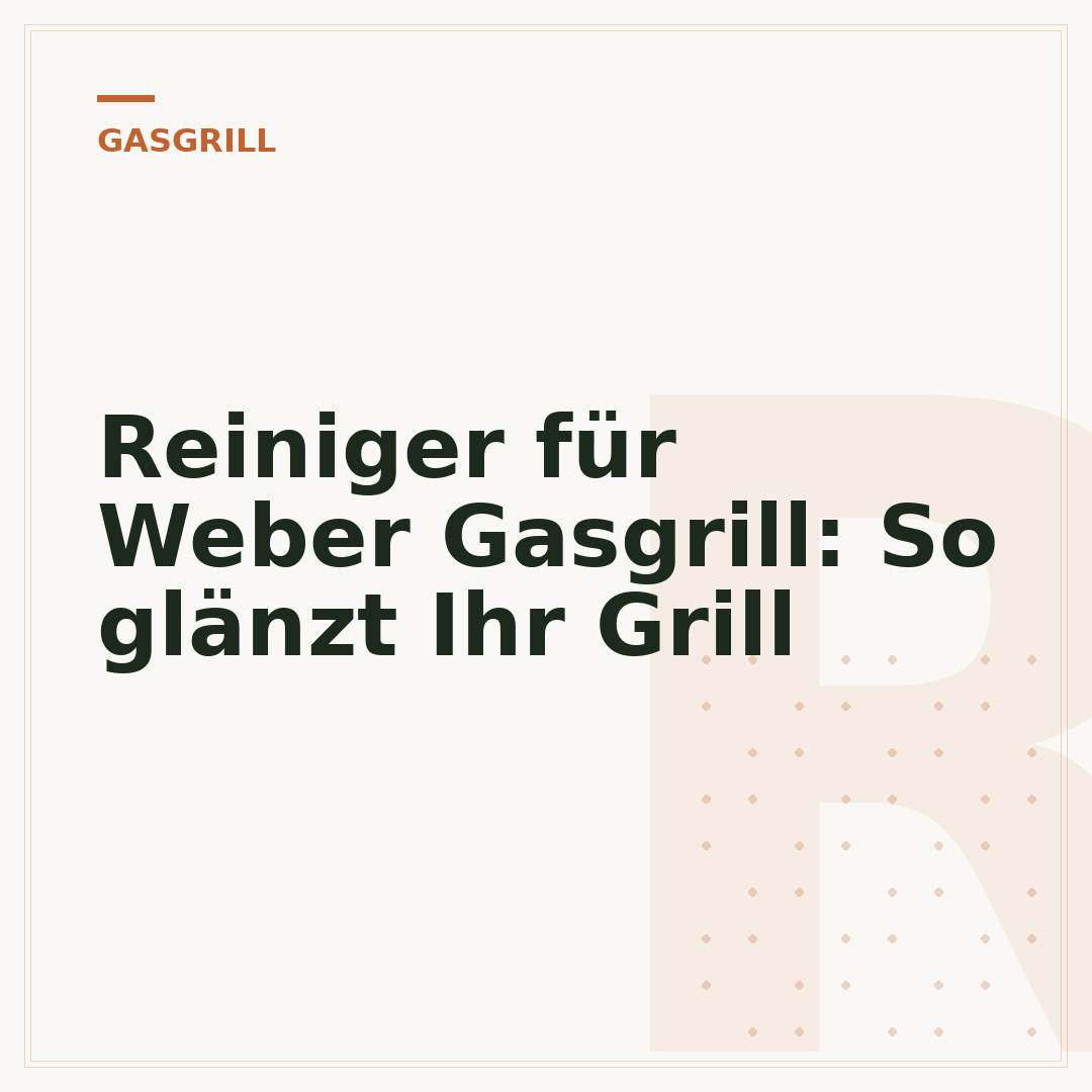 Reiniger für Weber Gasgrill: So glänzt Ihr Grill
