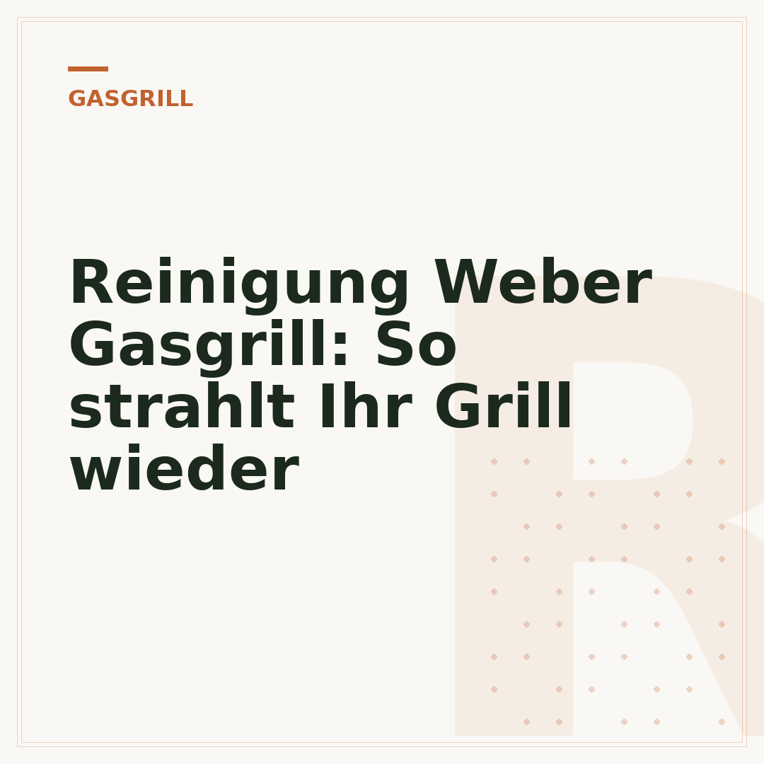 Reinigung Weber Gasgrill: So strahlt Ihr Grill wieder