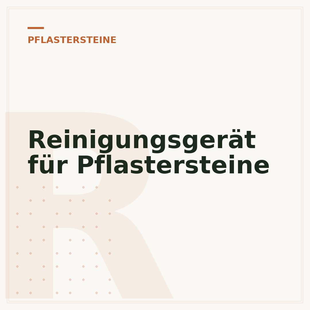 Reinigungsgerät für Pflastersteine