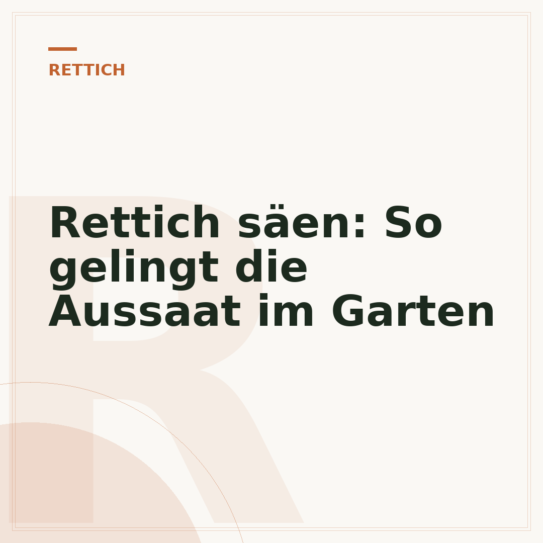 Rettich säen: So gelingt die Aussaat im Garten