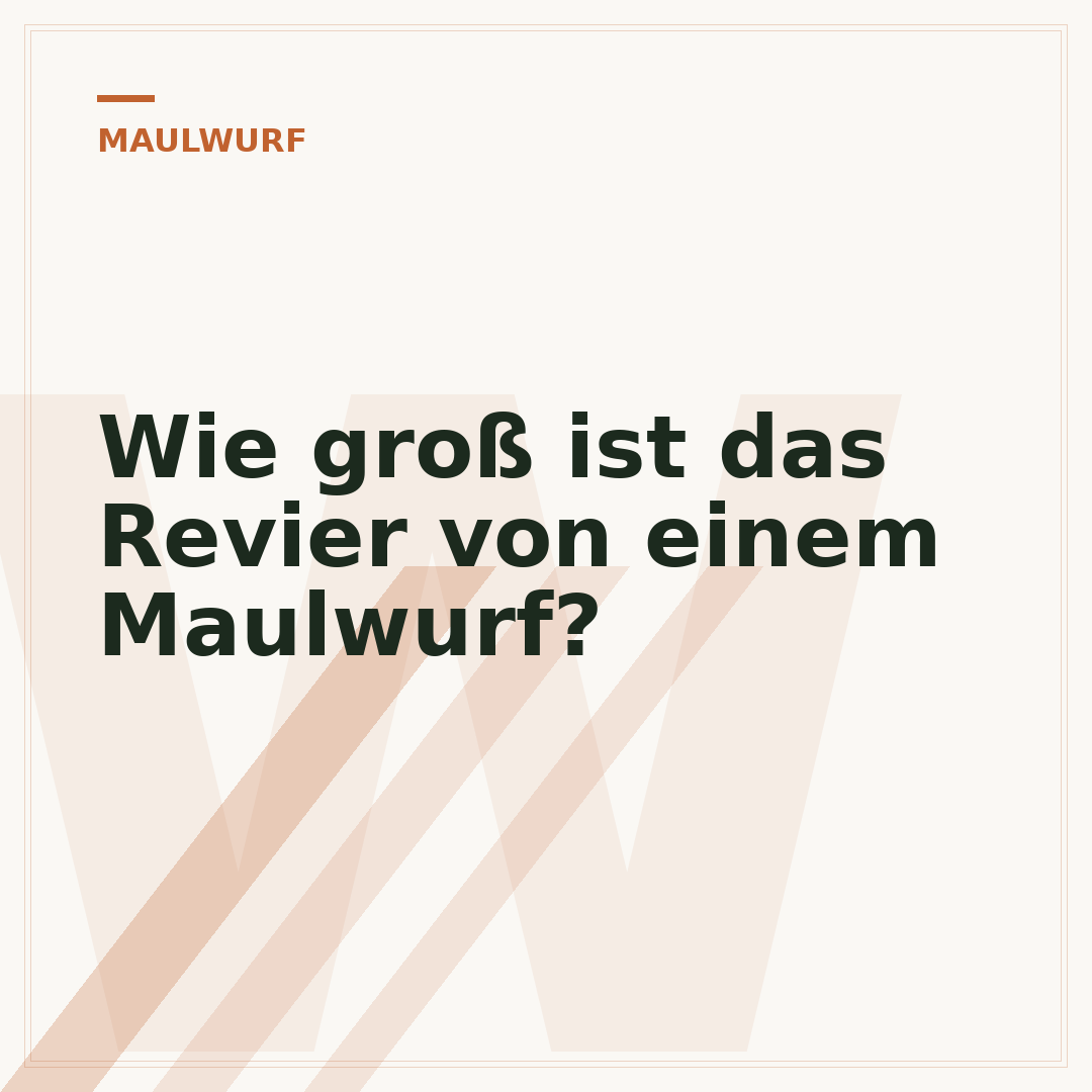Wie groß ist das Revier von einem Maulwurf?