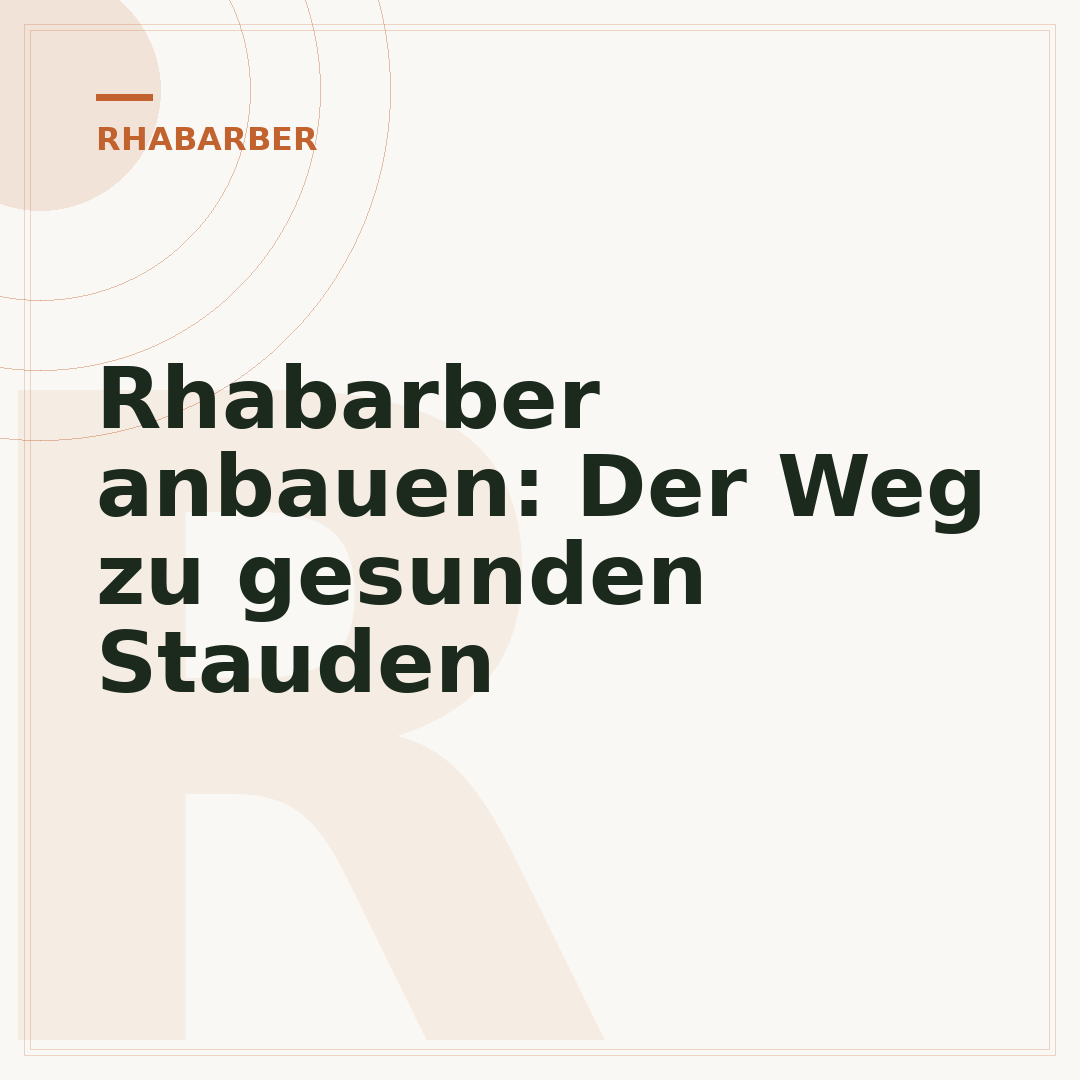 Rhabarber anbauen: Der Weg zu gesunden Stauden