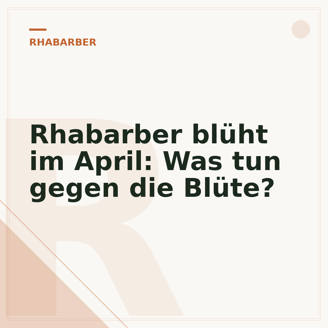 Rhabarber blüht im April: Was tun gegen die Blüte?