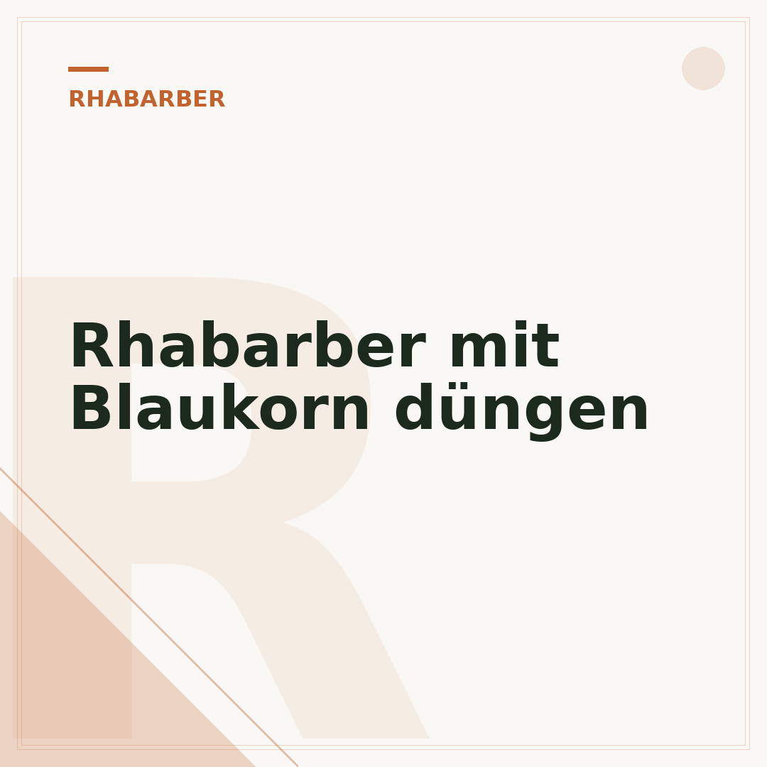 Rhabarber mit Blaukorn düngen