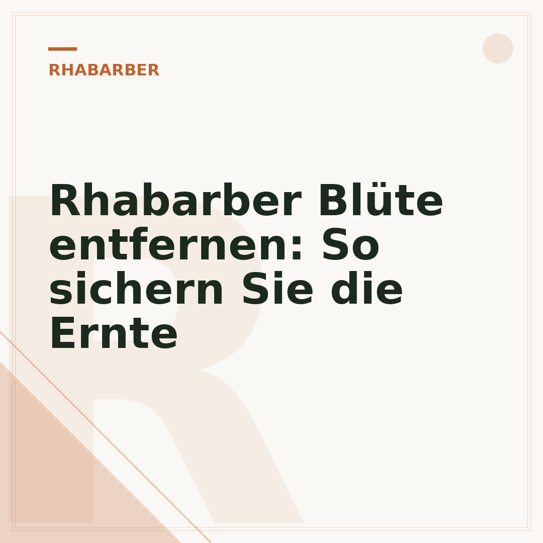 Rhabarber Blüte entfernen: So sichern Sie die Ernte