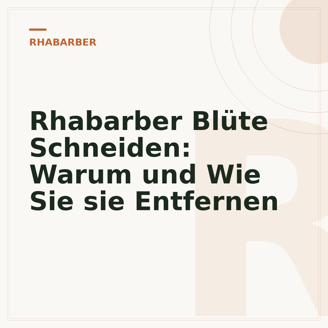 Rhabarber Blüte Schneiden: Warum und Wie Sie sie Entfernen