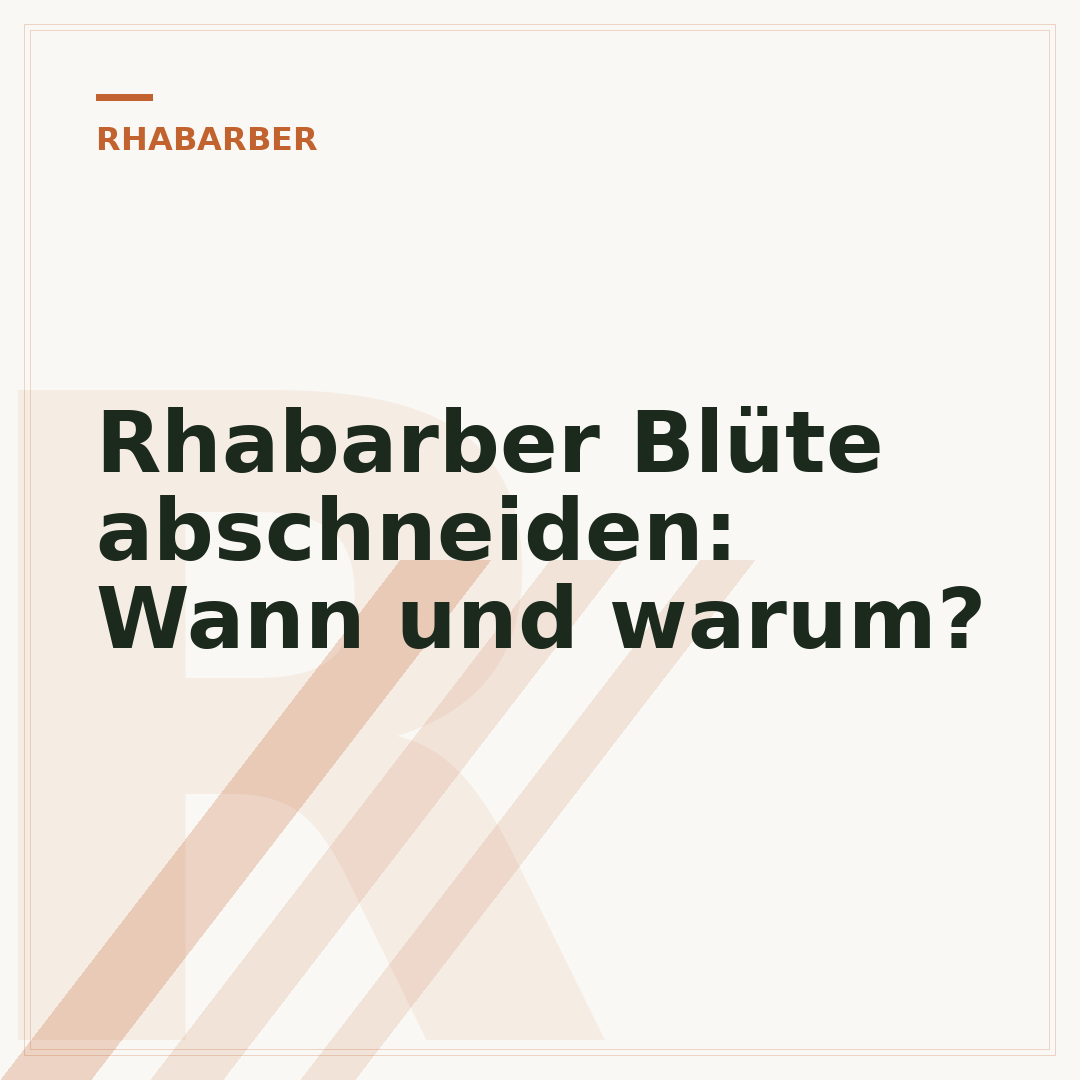 Rhabarber Blüte abschneiden: Wann und warum?