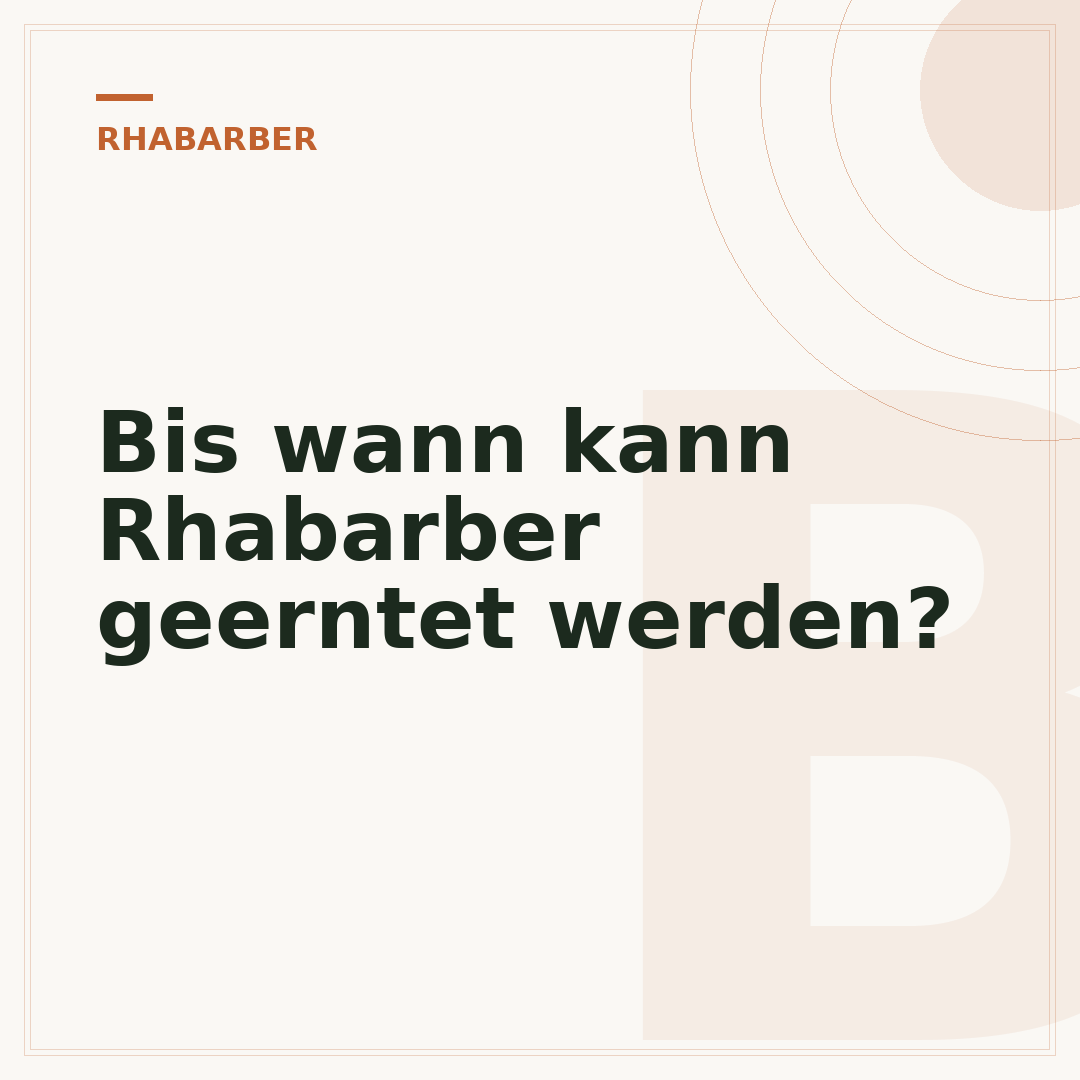 Bis wann kann Rhabarber geerntet werden?