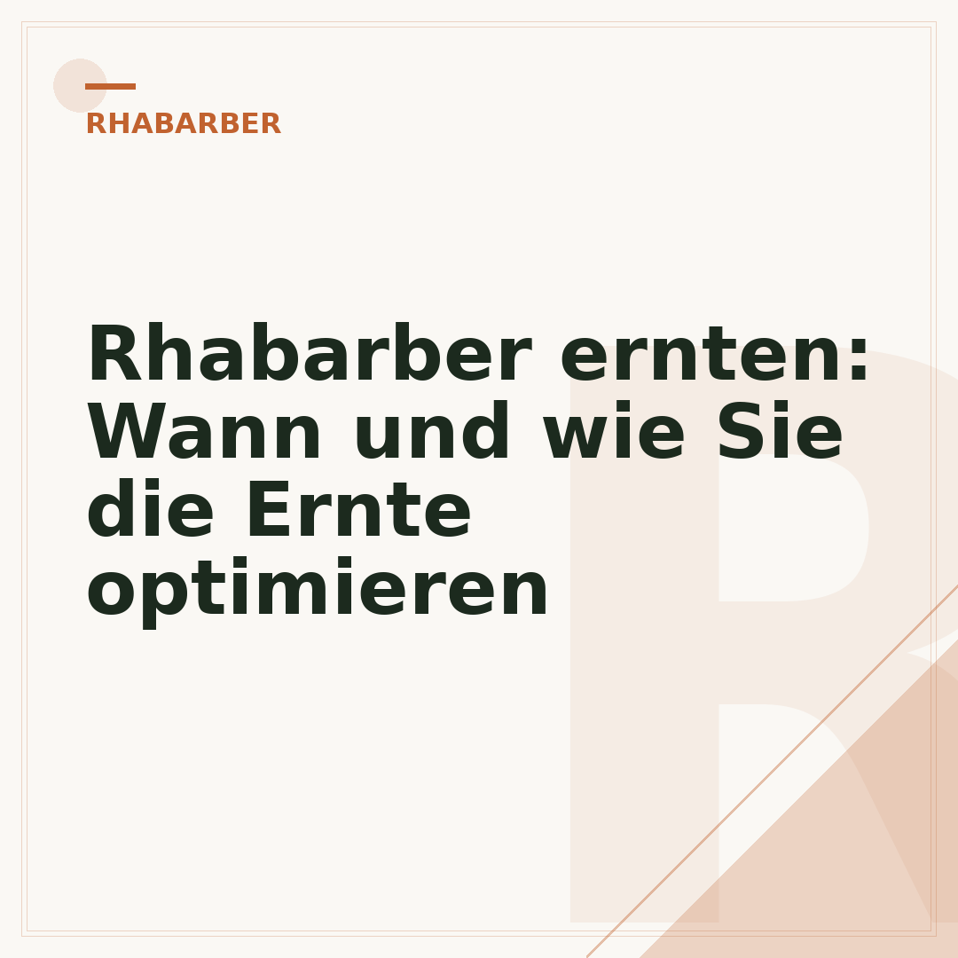 Rhabarber ernten: Wann und wie Sie die Ernte optimieren