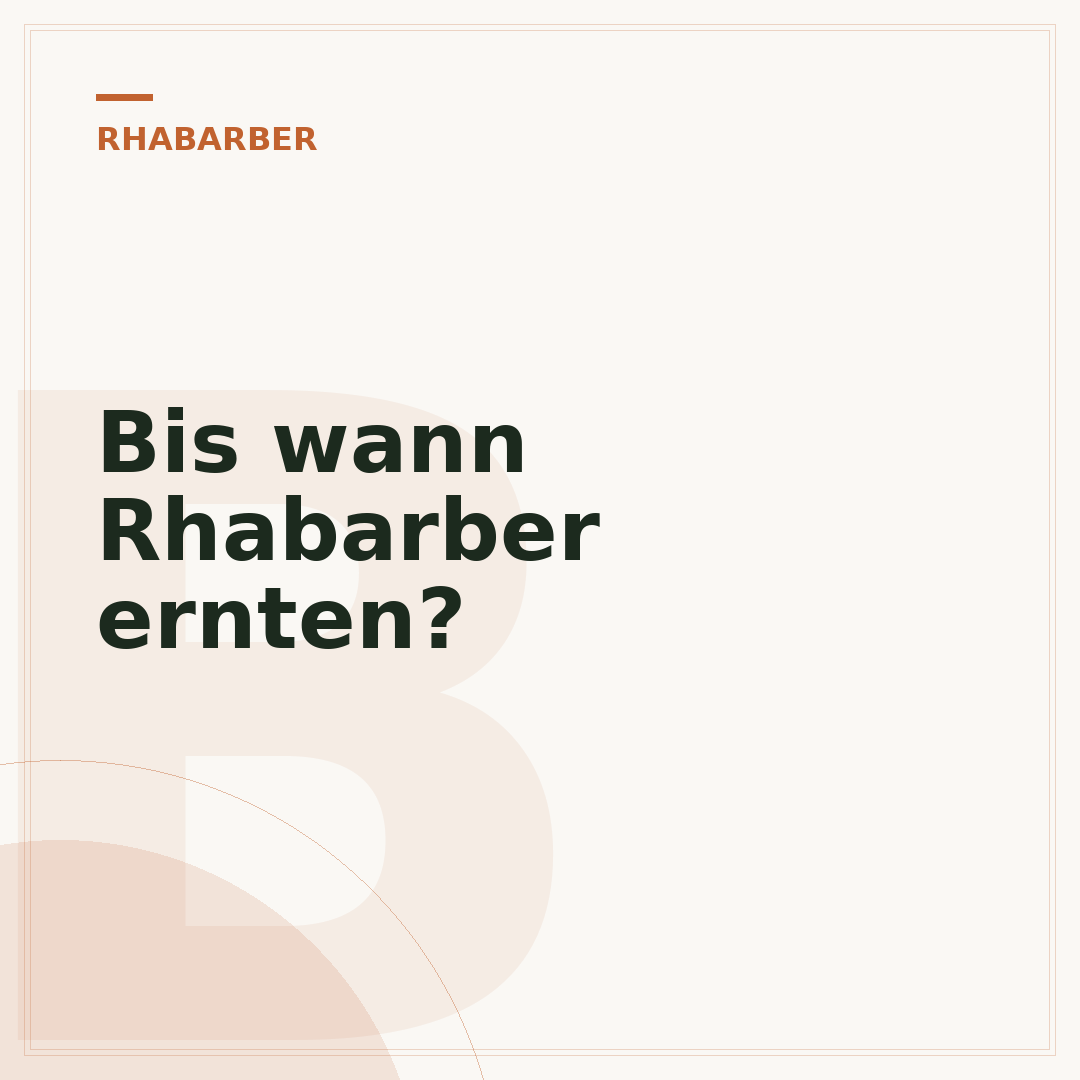 Bis wann Rhabarber ernten?