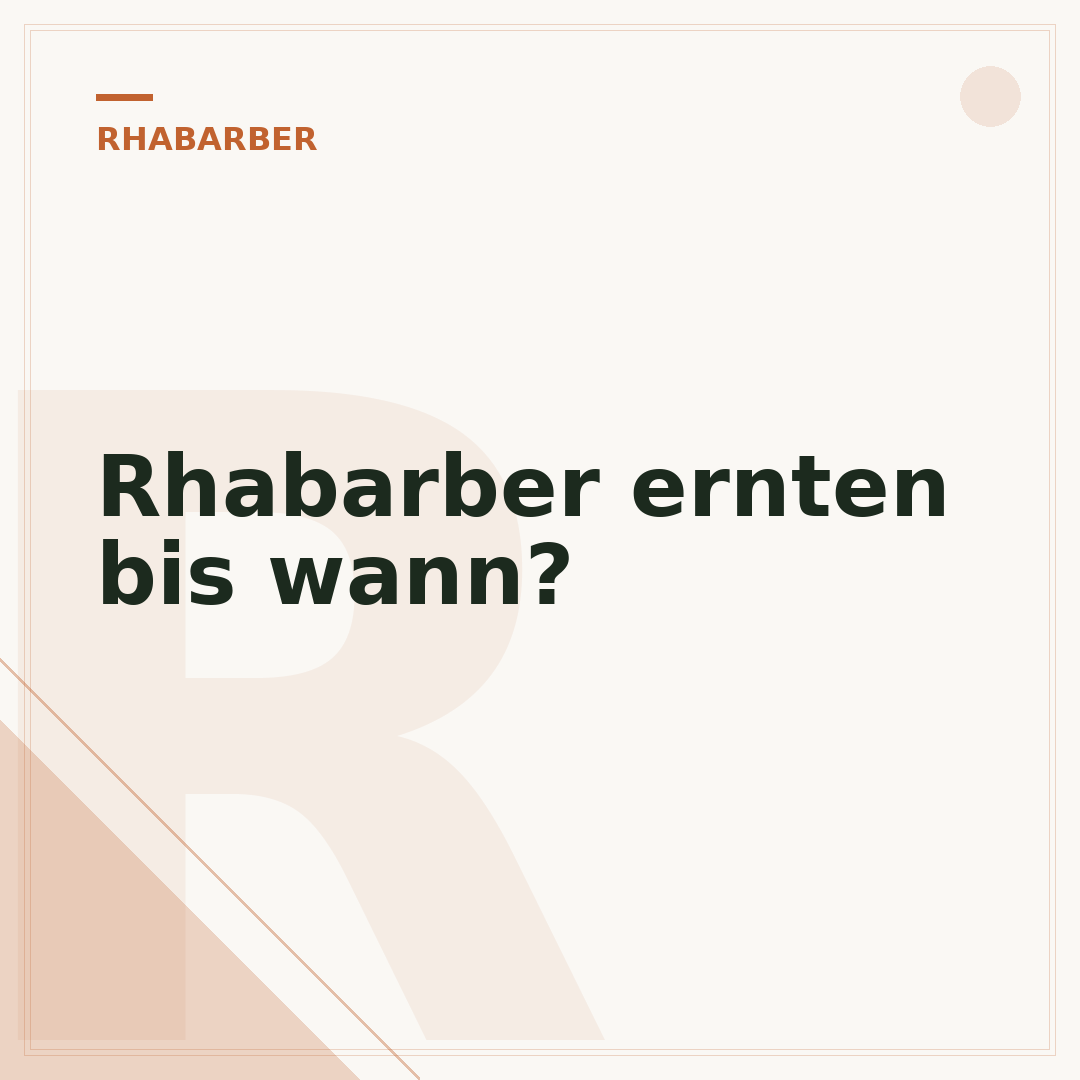 Rhabarber ernten bis wann?