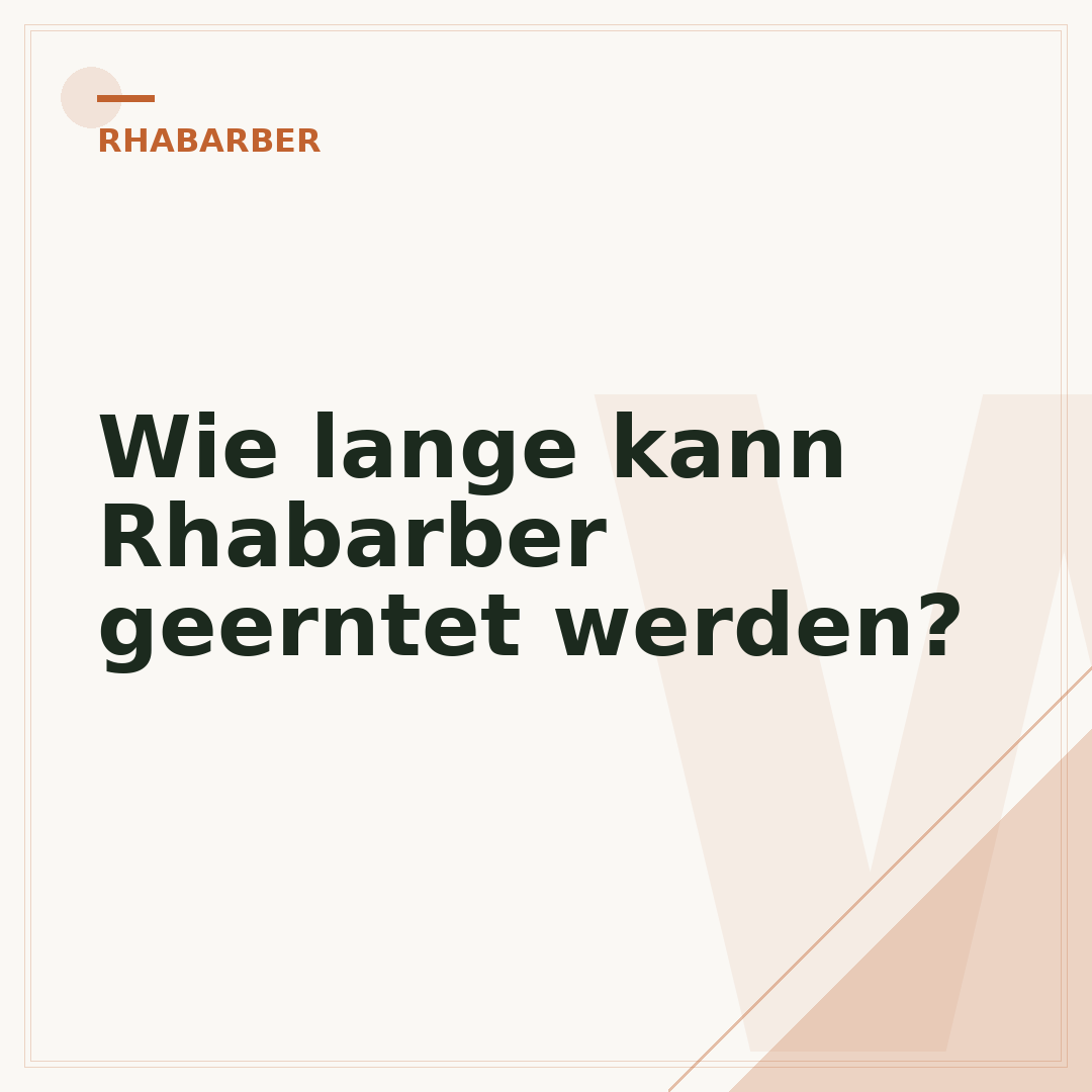 Wie lange kann Rhabarber geerntet werden?