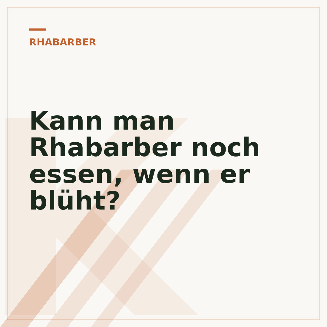 Kann man Rhabarber noch essen, wenn er blüht?