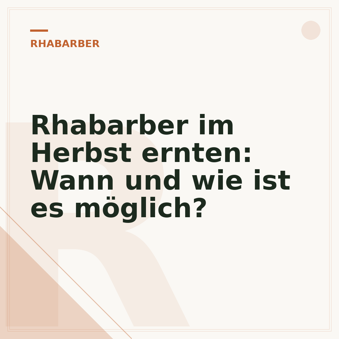 Rhabarber im Herbst ernten: Wann und wie ist es möglich?