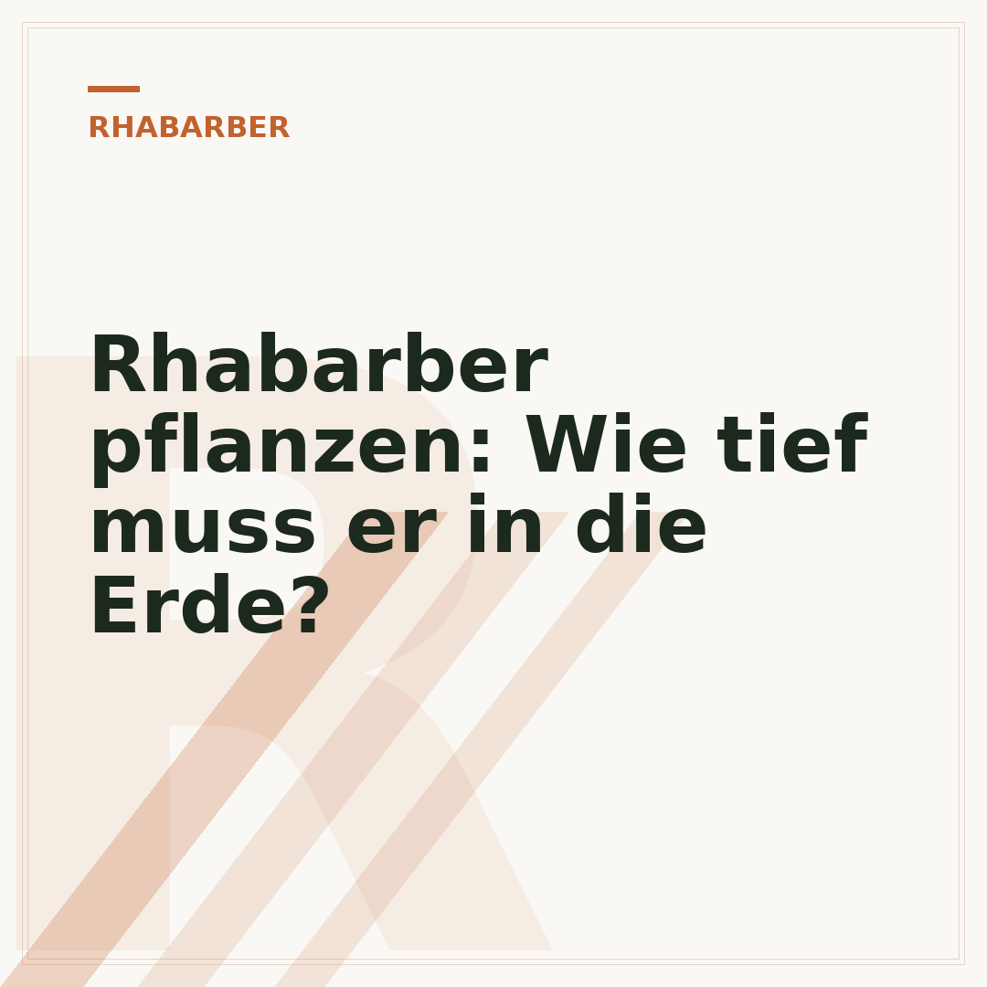 Rhabarber pflanzen: Wie tief muss er in die Erde?