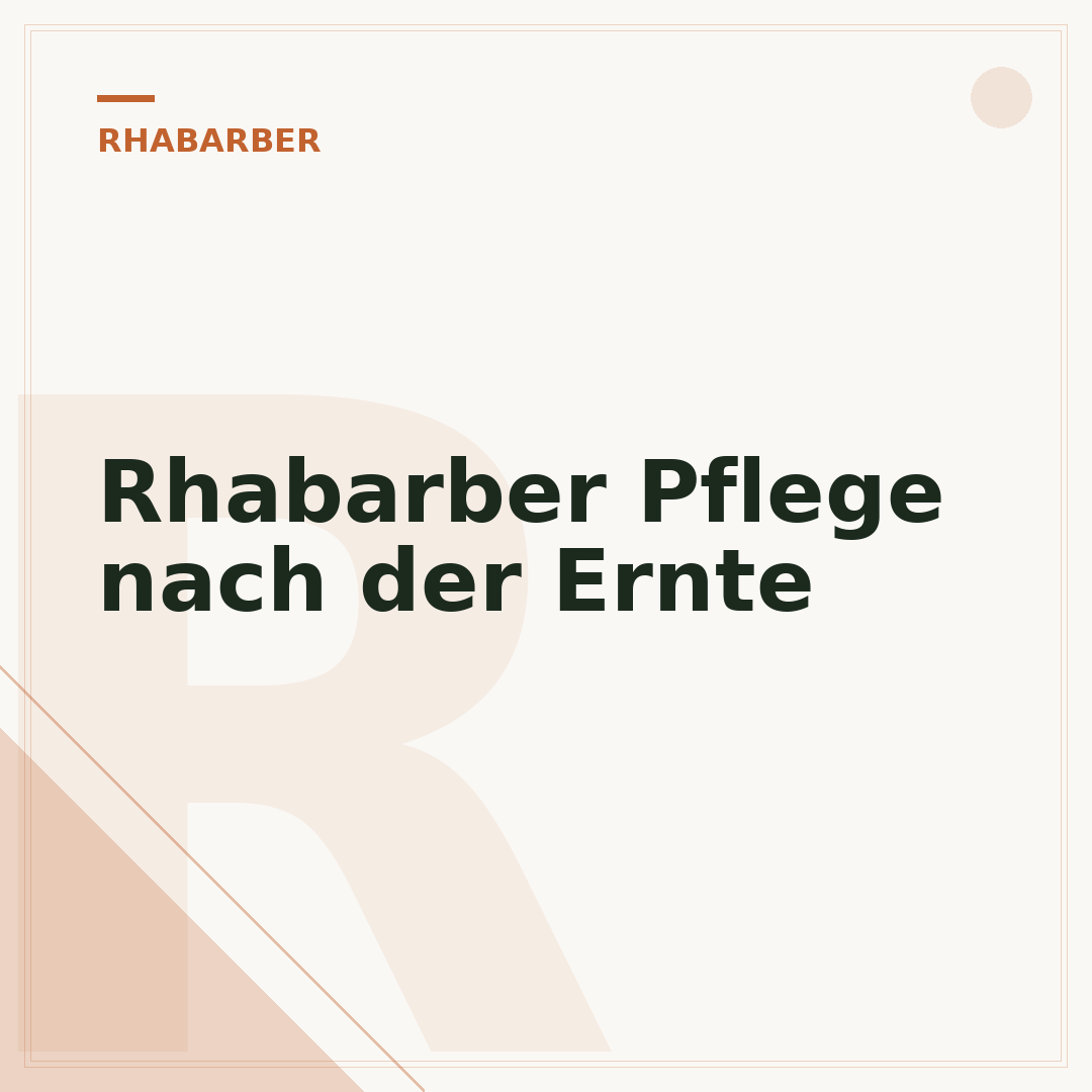 Rhabarber Pflege nach der Ernte