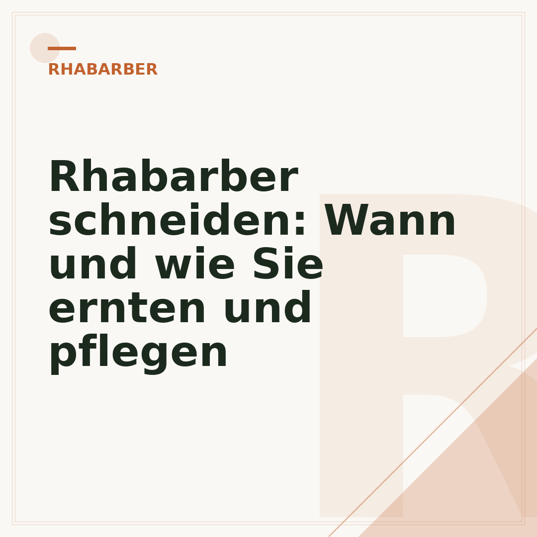 Rhabarber schneiden: Wann und wie Sie ernten und pflegen
