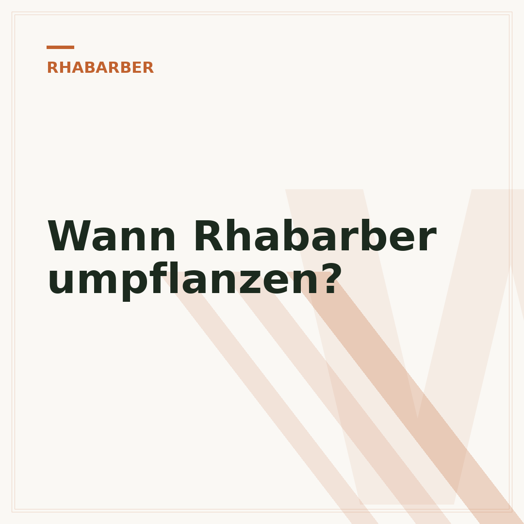 Wann Rhabarber umpflanzen?