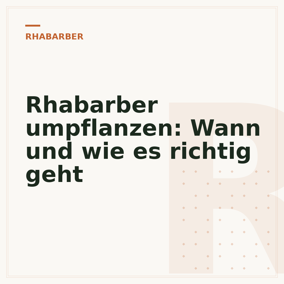Rhabarber umpflanzen: Wann und wie es richtig geht