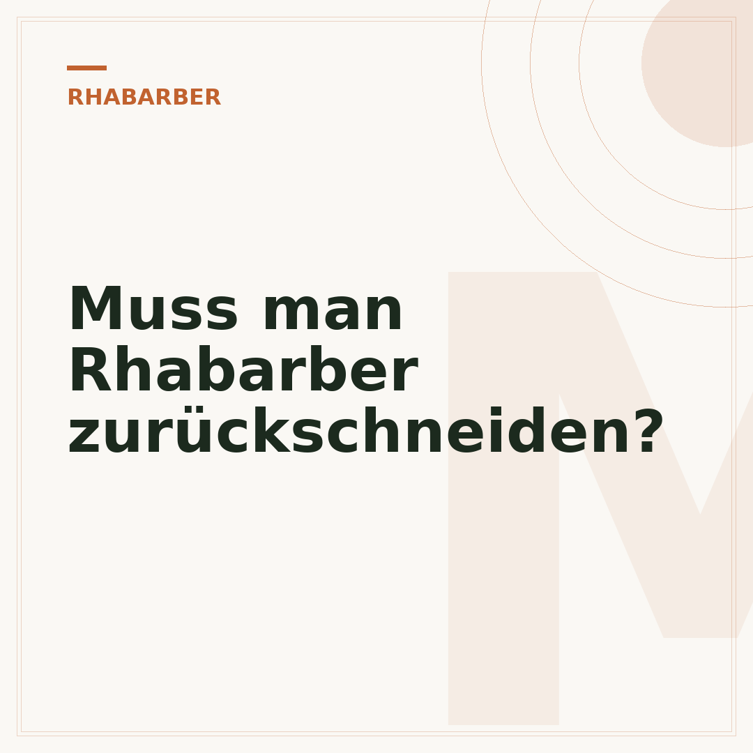Muss man Rhabarber zurückschneiden?