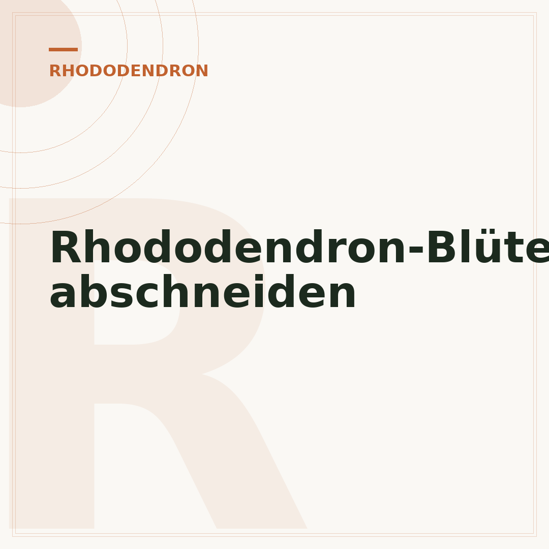 Rhododendron-Blüten abschneiden