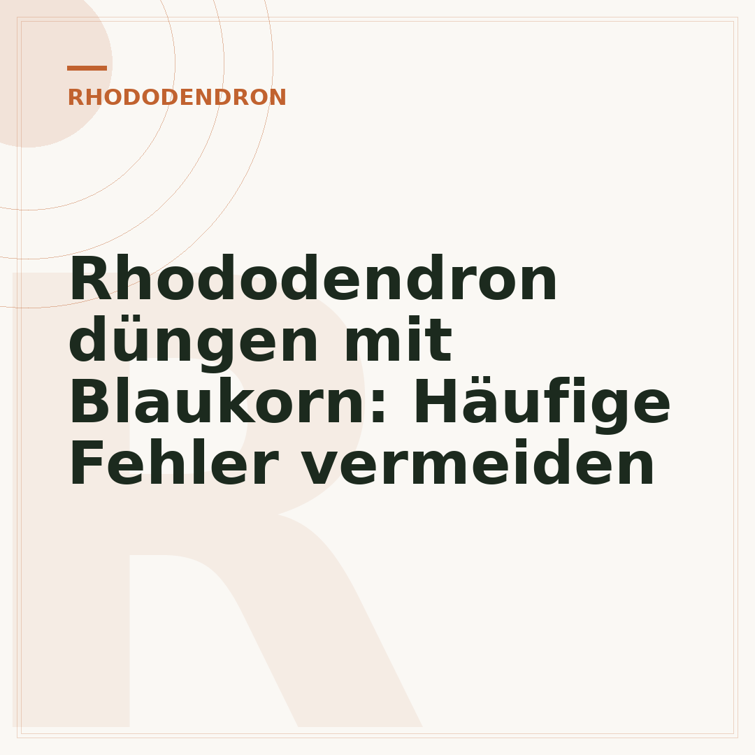 Rhododendron düngen mit Blaukorn: Häufige Fehler vermeiden